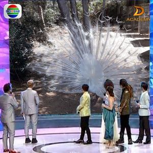 Meet your Posher, Mariana